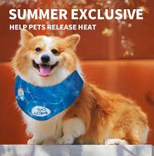 ALL FOR PAWS Chill Out Dog Cooling Bandana Summer Neck Wrap